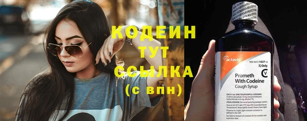 сатива Сатка