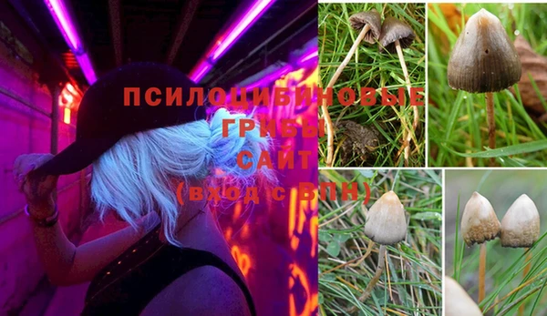 a pvp Сафоново