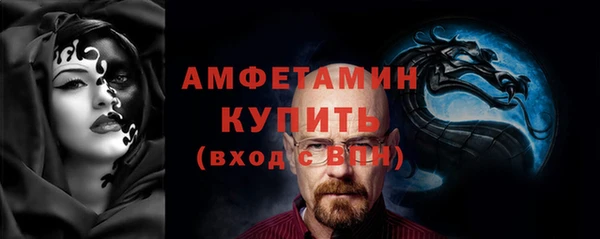 сатива Сатка