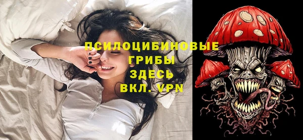 сатива Сатка