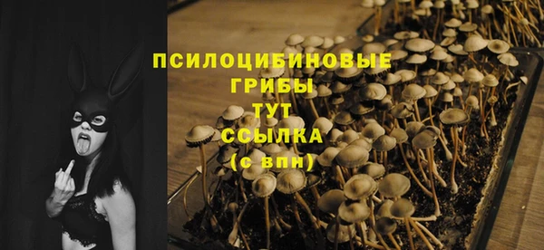 сатива Сатка