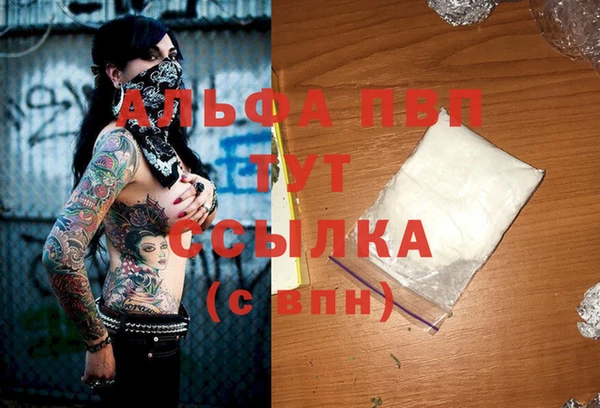 PSILOCYBIN Семёнов