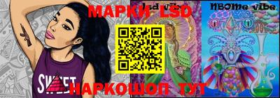 дмт Кингисепп