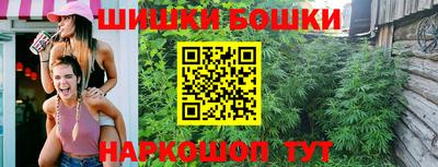 дмт Кингисепп