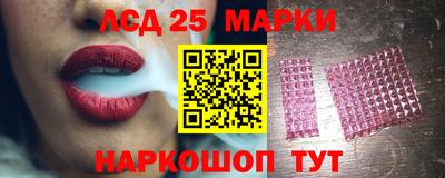 дмт Кингисепп