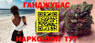 дмт Кингисепп