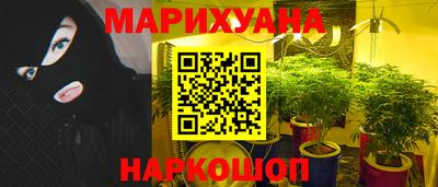 дмт Кингисепп