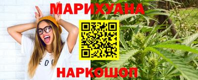 дмт Кингисепп