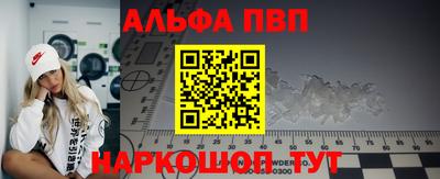 дмт Кингисепп
