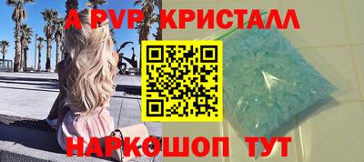 дмт Кингисепп