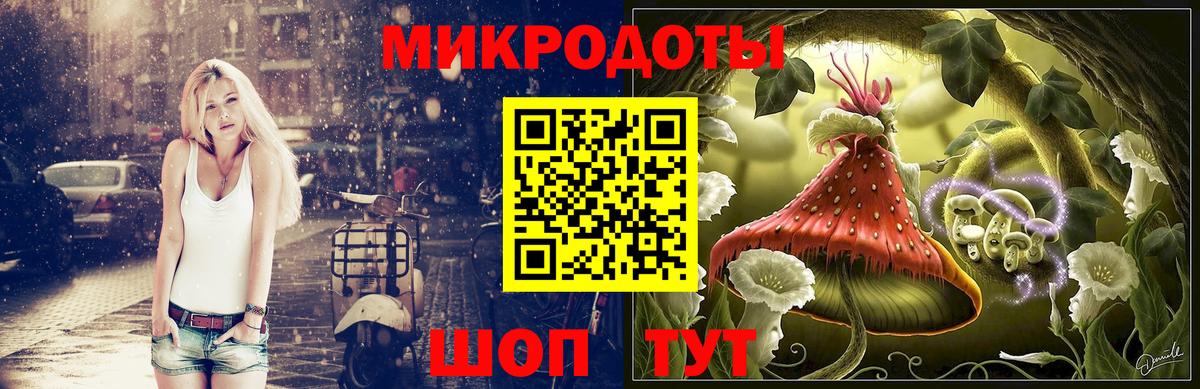 Галлюциногенные грибы прущие грибы  Вход с VPN  Галлюциногенные грибы Psilocybine cubensis  Невинномысск 
