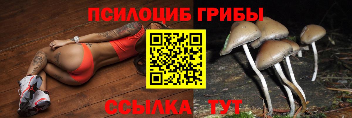 Псилоцибиновые грибы Cubensis Невинномысск